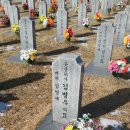 김중완 이미지