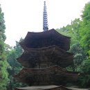 현 소프트 이미지