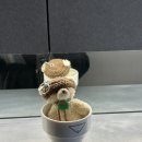 세컨핸드브루어스 | ☕️ 약수·신당 골목에서 만난 조용한 카페ㅣ세컨핸드 브루어스, 핸드드립과 딸기케이크 후기