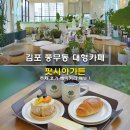 나루가든 | 김포 풍무동 대형카페 팟시아가든 주차 후기 베이커리 메뉴