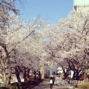 내손으로 만드는 우리옷 이미지