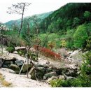 구수골농장 이미지