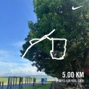 용운동 194-3 앞 횡단보도 | 2박 3일 대만 타이페이 여행 후기 | 도영 Doors in Taipei, Taipei Music Center 공연장, 로컬 음식점 방문