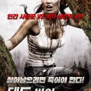 데이라이트 이미지