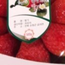 과일청년