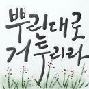 개인돈 불법사채대응센터 정책변경 공고 이미지