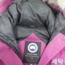 드림명품세탁 이미지