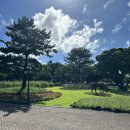 [제주2주살기] 아이랑 갈만한 곳_물놀이/놀이터/승마체험 &lt;렛츠런파크 제주&gt; 요금 주차 후기