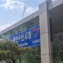 노량진수산시장 대게 먹자마자 감탄