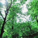 황보당 - 구미시 산호대로 191-4 | [ 강원특별자치도 가볼만한곳 ] 평창 유명 국내사찰 오대산 상원사 적멸보궁