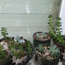 나눔민박 이미지