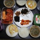 웅천동595-7 웅천택지입구삼거리부터 시전동 예울마루공영주차장입구 | 여수 가볼만한곳 예술의 섬 장도 가는길 주차장 물때 아트카페 전남 여수여행 4박 5일&lt;설날 연휴기간&gt;