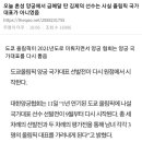 금메달 혼성 양궁 대표선발 비하인드 이미지