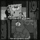 뚱이 이미지