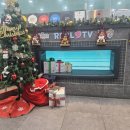 타잔비엔지 이미지