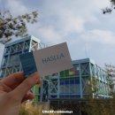 하슬라농장 | 강릉여행 가볼만한곳 하슬라아트월드, 강릉카페 허스크밀