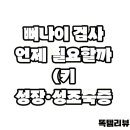 궁금한 키, 궁금한 사춘기 | 뼈나이 검사 언제 필요할까 (키 성장·성조숙증 판단 기준)
