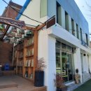 멀씨(Mercy) 이미지