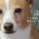 부평굴요리전문점 이미지