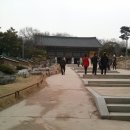 도반 이미지