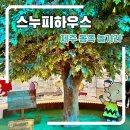 제주 동쪽 여행코스 비오는날 스누피가든 후기, 야외가든 스탬프투어