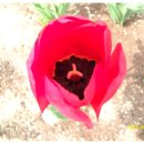 구청사거리 이미지