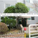 효자촌.삼환아파트 이미지