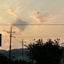 보령우가