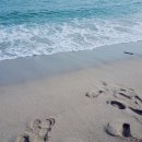 위대한게스트 이미지