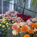 (주)아이네스