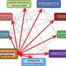 바이러스 Part 14 이미지