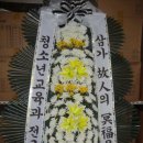 내태1리 이미지