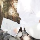 산천식품 이미지