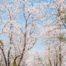 은파호수공원 9-8 네이버블로그