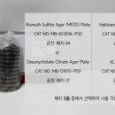 H1421 네이버블로그
