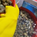 낙지특화거리 이미지