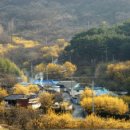 용정3리 이미지