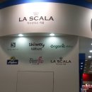 아토피타코리아 이미지