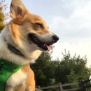 동이네집 이미지