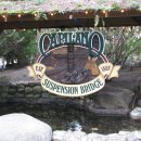 [떠라‘s Vancouver No. 4] Public Market, English Bay &amp; Capilano Suspension Bridge 이미지