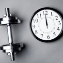 SN Fitness 이미지