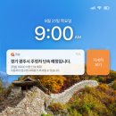 주정차67 이미지