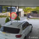 우리개는 안물어요? 본능을 모르는 소리/인간의 본성은 악하다. 이미지