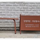 양평할머니 이미지