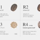 릴렉세이션 포인트 이미지