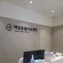 해밀동물병원 - 남양주시 해밀예당3로 122 | <김해 해밀동물의료센터> 김해 동물병원 추천 강아지 십자인대파열 수술후기