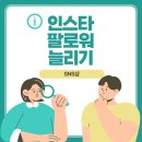 SNS PC | 인스타 팔로워 늘리기 SNS샵 셀프 실천 후기