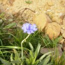 칠보산모텔 이미지