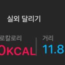 다이소잡화