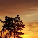 태화상사 이미지